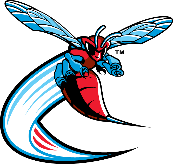 Delaware State Hornets 2004-Pres Alternate Logo v3 iron on transfers for fabric